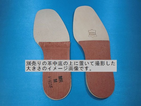 画像6: 赤ファイバーMR型