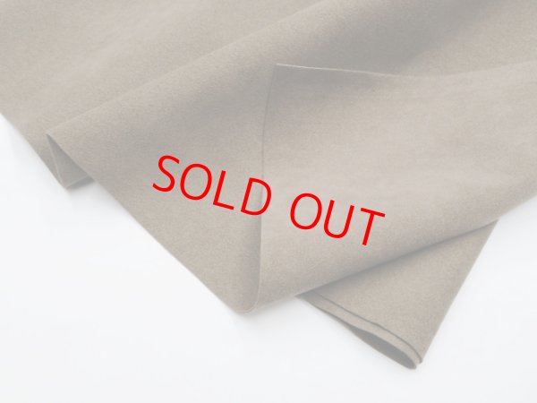 画像1: フレッシュシルキーふし色（ＲＮ3番色）