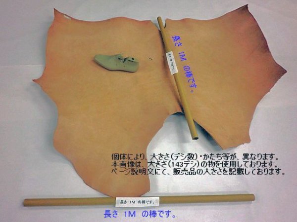 画像4: ショルダー革 3ミリ厚 メキシコ製 158デシ (送料・個別発生品)