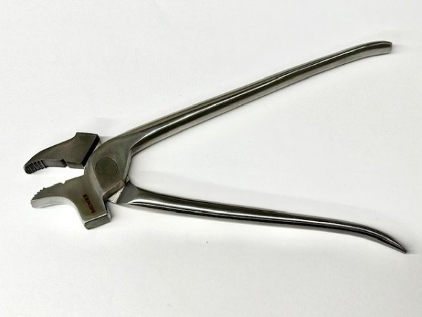 画像5: MINKE・ミンケ社製ドイツワニ