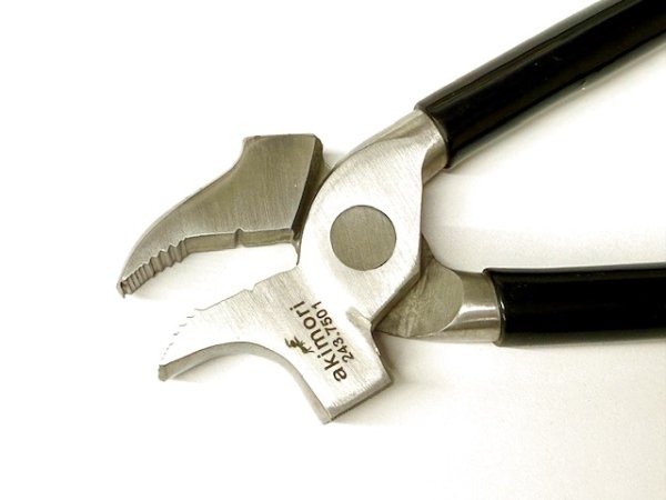 画像3: akimori・イタリアワニ