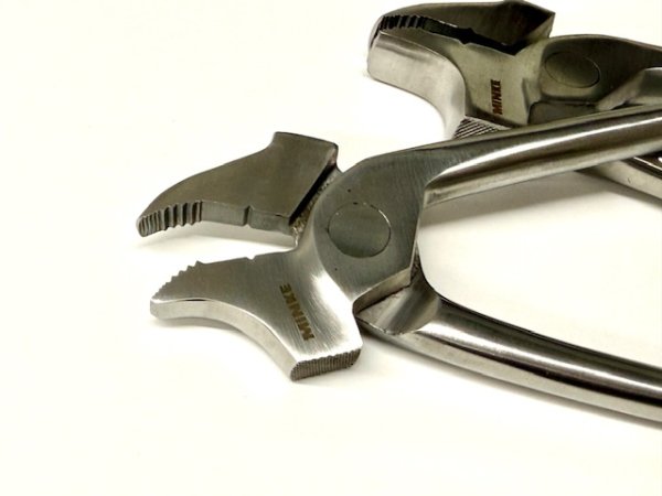 画像4: MINKE・ミンケ社製ドイツワニ