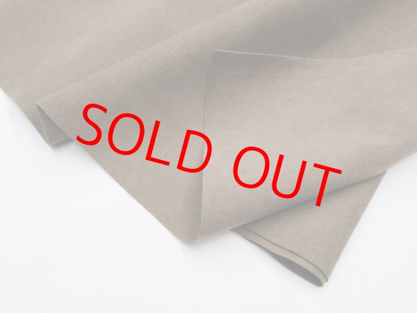 画像1: フレッシュシルキーふし色（ＲＮ3番色）