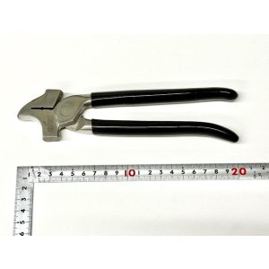 画像: akimori・イタリアワニ