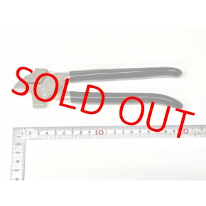 画像: akimori・イタリアワニ