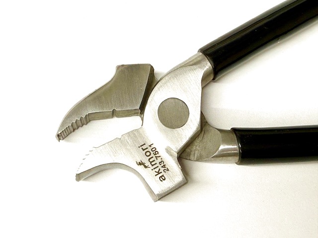 画像3: akimori・イタリアワニ