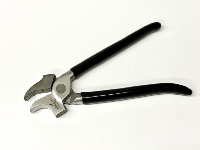 画像2: akimori・イタリアワニ